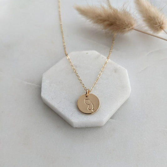 gold filled disc with new jersey state design